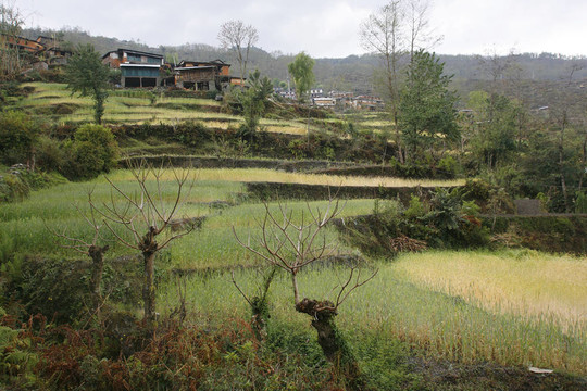 喜馬拉雅村
