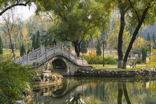 公園柳樹小橋