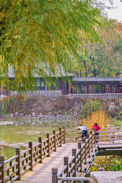公園兒童