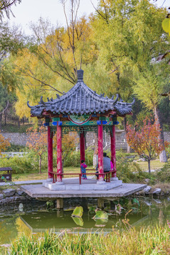 公園亭子秋天