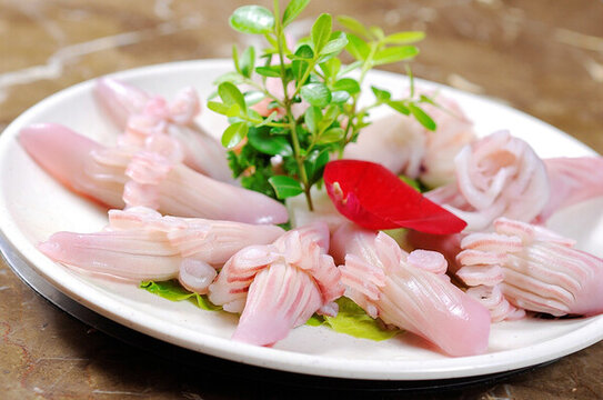 鮮魷魚花