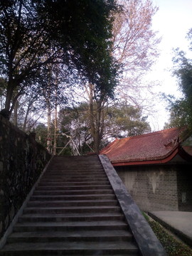 階梯建筑
