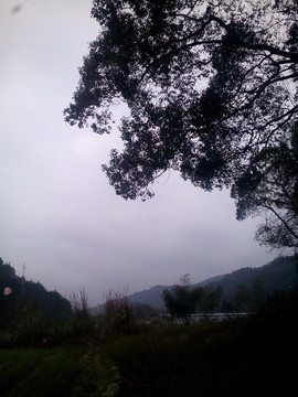 冬天的風(fēng)景