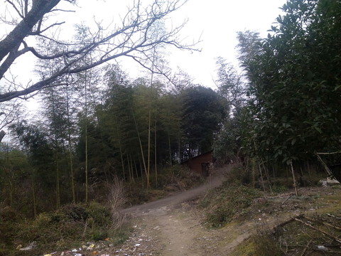 鄉(xiāng)間土路