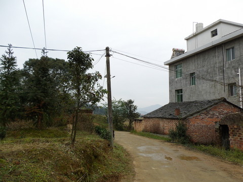 鄉(xiāng)村道路