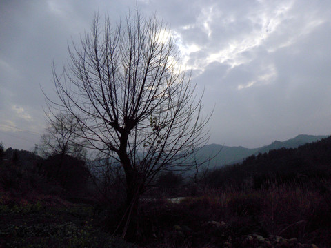 冬天鄉(xiāng)村