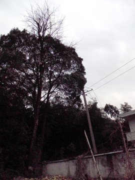 鄉(xiāng)村一角