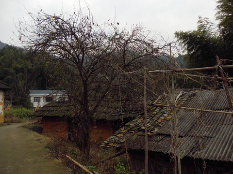 鄉(xiāng)村風(fēng)景