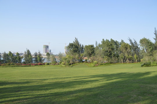 草地 草坪