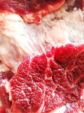 新鮮豬肉