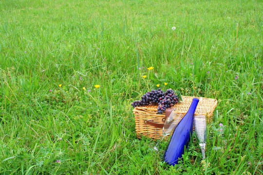 Pic Nic Basket和酒