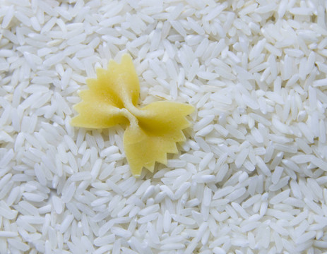 米飯和面條