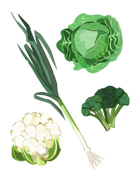 綠色蔬菜