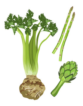 綠色蔬菜