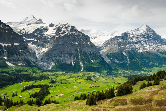 在春天grindelwal谷