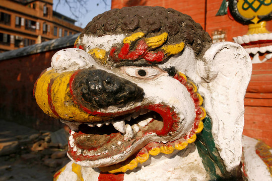 龍