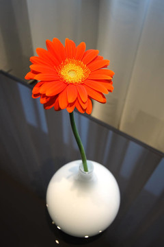 花瓶里的花