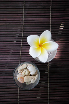 熱帶的雞蛋花和石材裝飾。