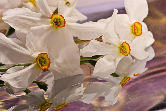 水仙花
