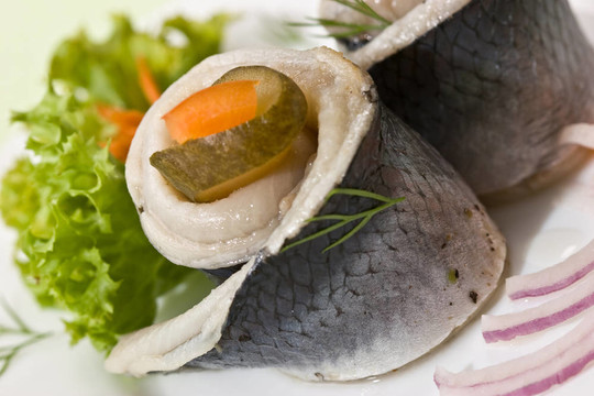 菲力鯡魚