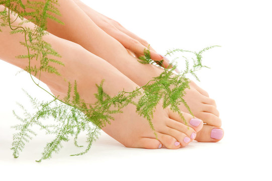 女腳與綠色植物