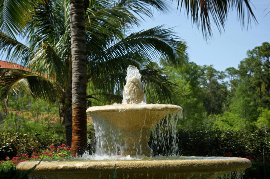 水從頂部簡單爆發(fā)熱帶噴泉