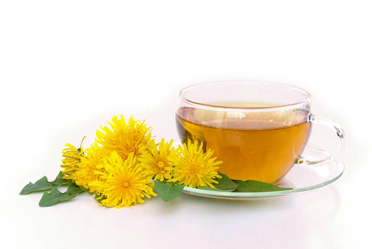 蒲公英茶03