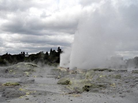 Pohutu Geyser；華卡雷瓦地熱保護區(qū)；羅托魯阿；新西蘭