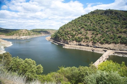 在塔霍河大橋