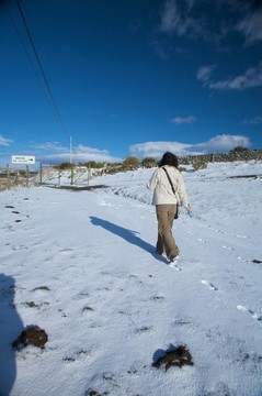 在雪地上奔跑