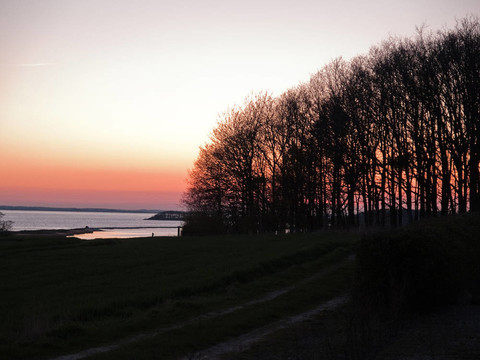 樹木和美麗的夕陽(yáng)背景