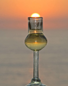 隨著日落龍舌蘭酒杯