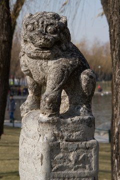 拴馬樁