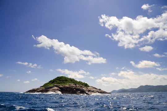 鰹鳥(niǎo)島