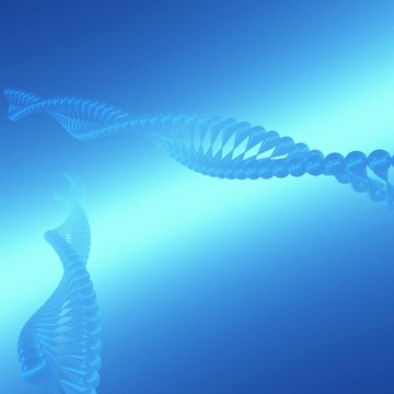 DNA III