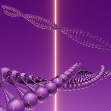 DNA V