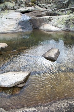 小環(huán)礁