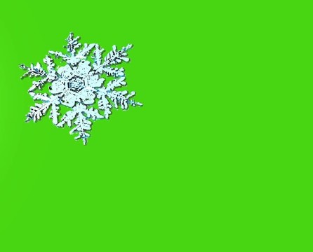 綠色雪花