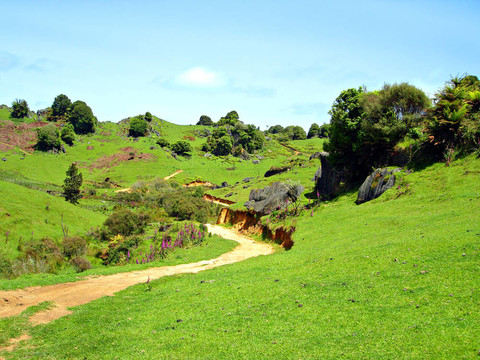 農(nóng)場(chǎng)的小路穿過(guò)巖石泥土青山；Waitomo；新西蘭