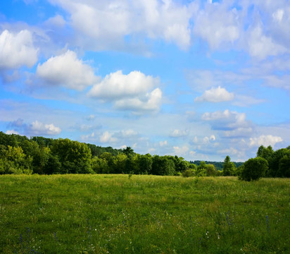 夏天的風(fēng)景