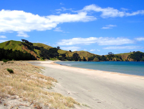 Whangapoua海灘；大屏障島；新西蘭