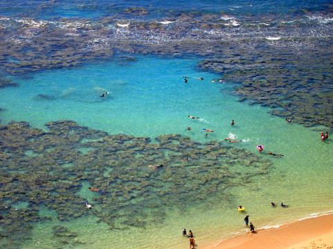 浮潛和家庭游泳周圍的珊瑚海灣；瓦胡島；夏威夷