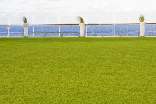 船舶邊上的草地