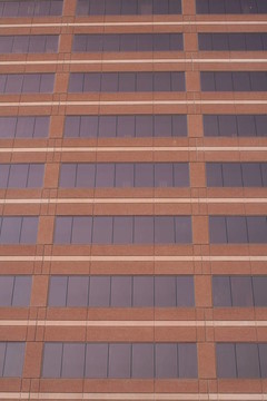 公司建筑II