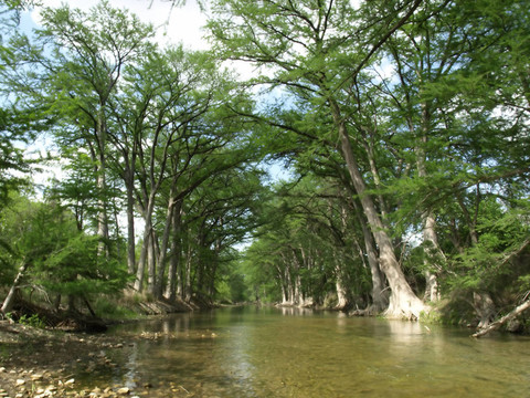 麥地那河