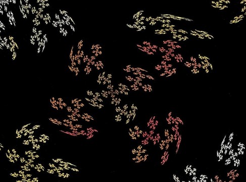 花的