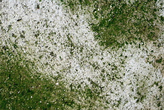 綠色和灰色的垃圾背景