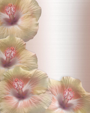 婚禮或聚會邀請芙蓉