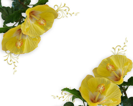 婚禮或聚會邀請芙蓉