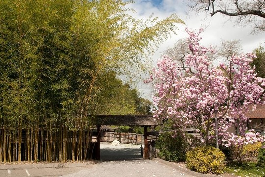 Hakone花園